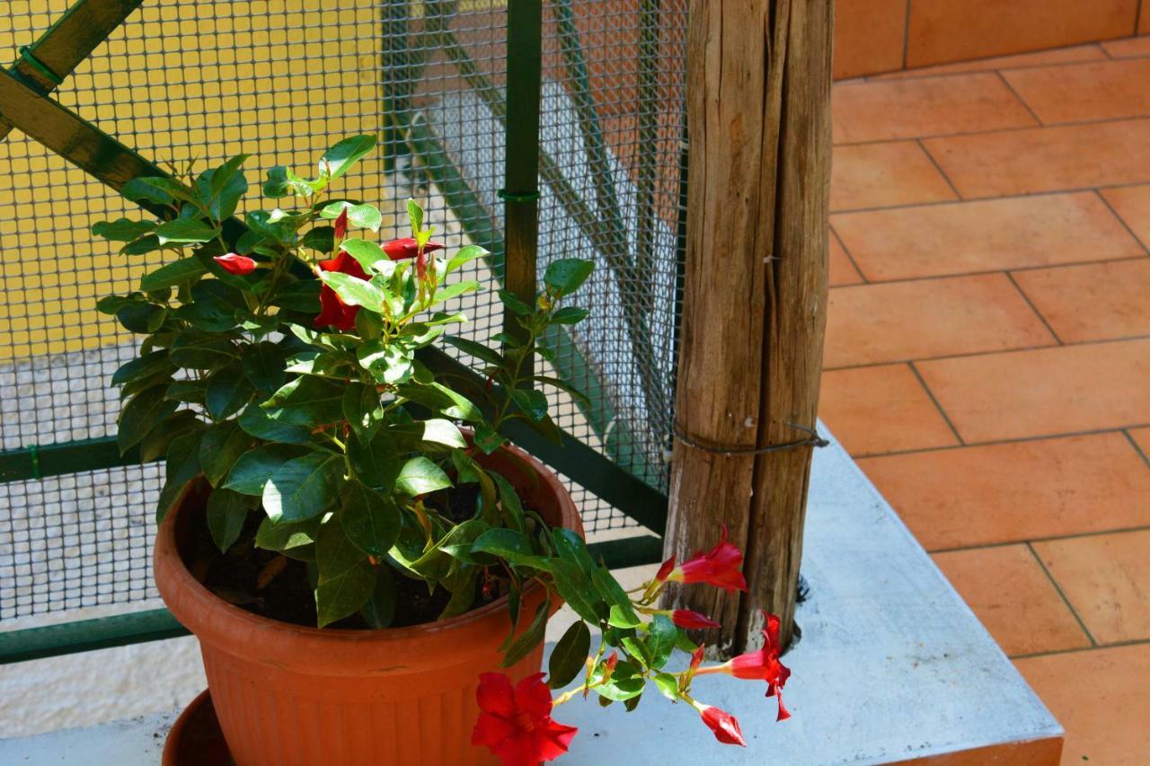 La Bomboniera Βίλα Maiori Εξωτερικό φωτογραφία