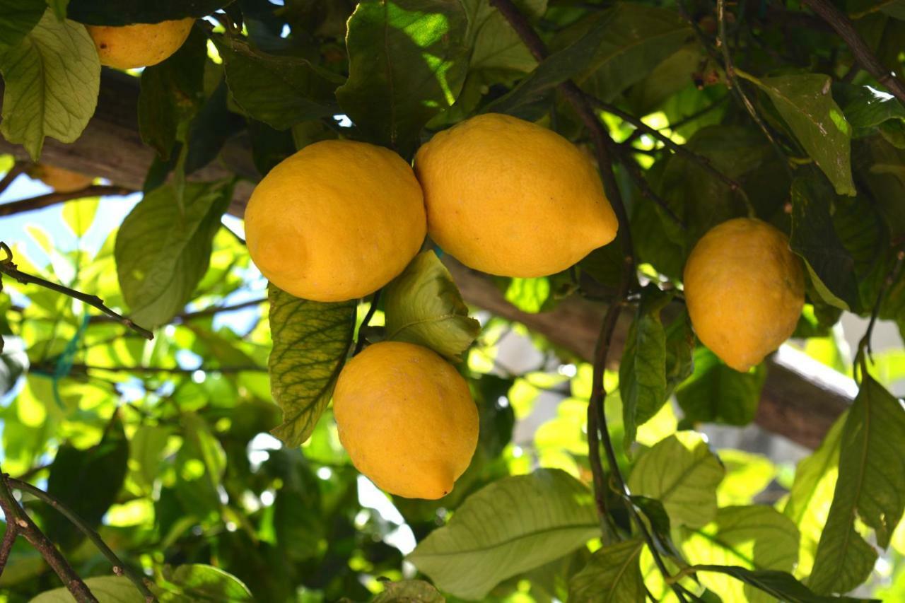 La Bomboniera Βίλα Maiori Εξωτερικό φωτογραφία